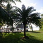 Atlantic Bay Resort Beautiful Beach Front Tropical Area. Book with us DIRECTLY at 1-866-937-5650 and SAVE Tavernier. FL 33070