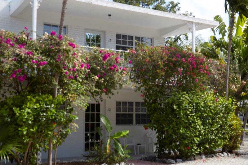 Building View - Gorgeous Atlantic Bay Resort Beautiful Beach Front Tropical Area. Book with us DIRECTLY at 1-866-937-5650 and SAVE Tavernier. FL 33070